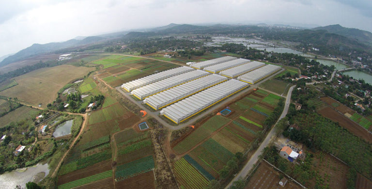 vietnam1-1000x508