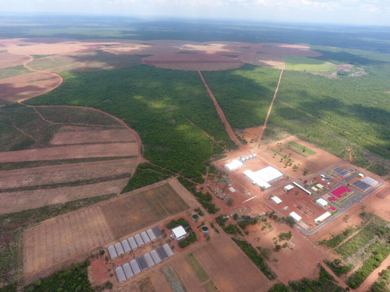 zambia4