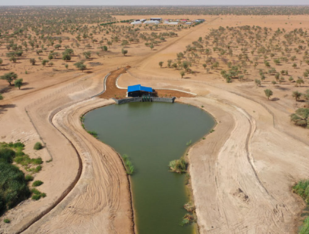h205.jpg